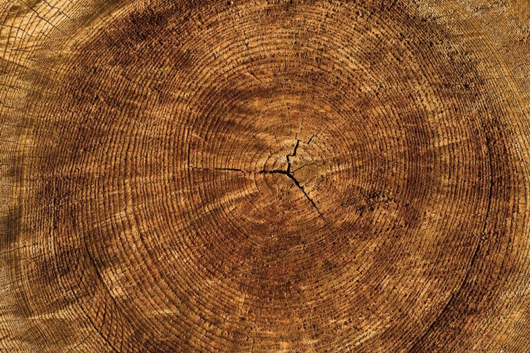 Kiezen voor duurzaam hout maakt het verschil op lange termijn