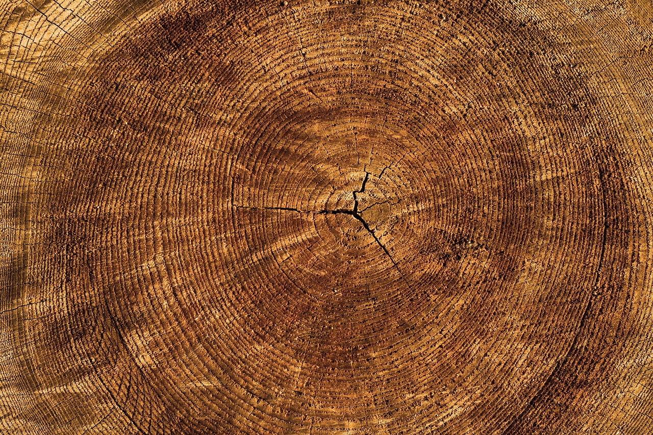 Kiezen voor duurzaam hout maakt het verschil op lange termijn